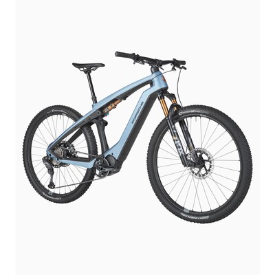 Porsche eBike Cross Performance