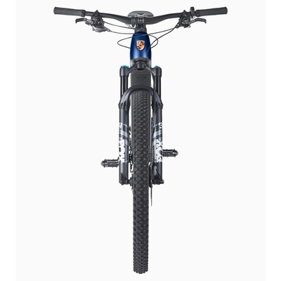 Porsche eBike Cross