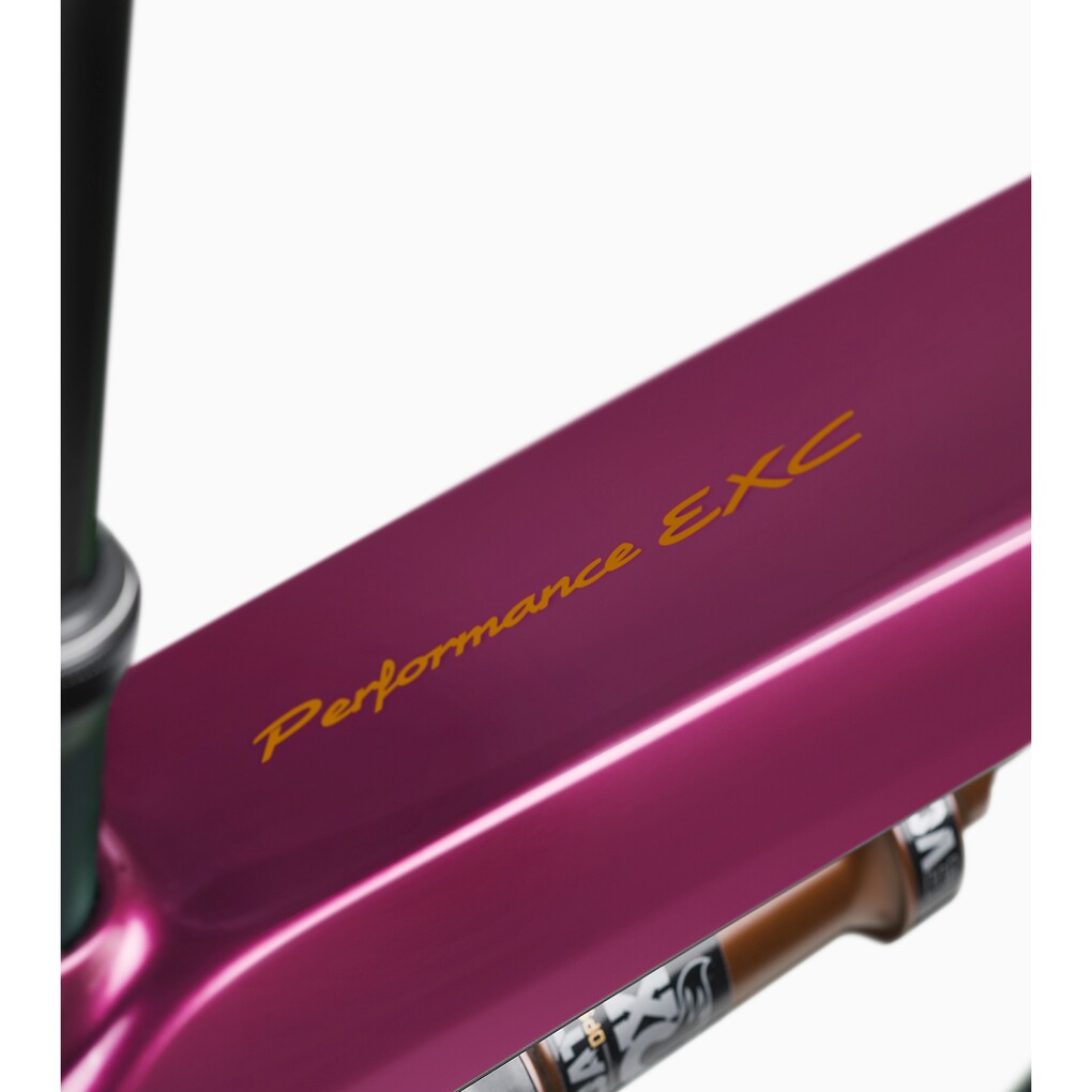 Porsche eBike Cross Performance EXC 