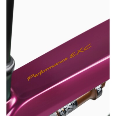 Porsche eBike Cross Performance EXC 