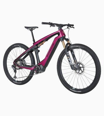 Porsche eBike Cross Performance EXC 