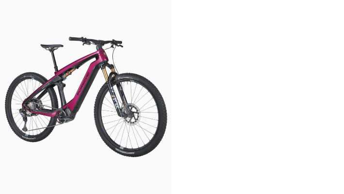 Porsche eBike Cross Performance EXC 