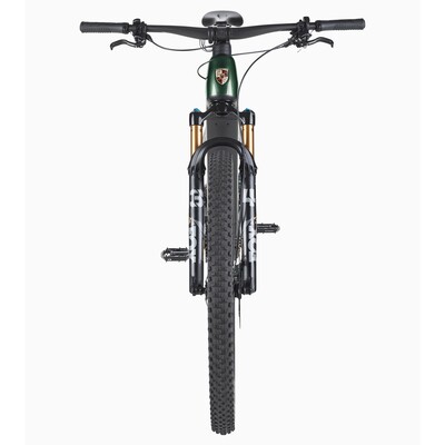 Porsche eBike Cross Performance EXC