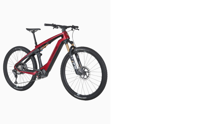 Porsche eBike Cross Performance EXC 