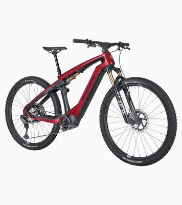 Porsche eBike Cross Performance EXC 
