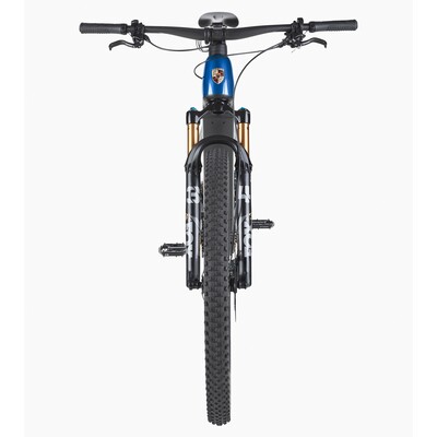 Porsche ebike Cross Performance EXC