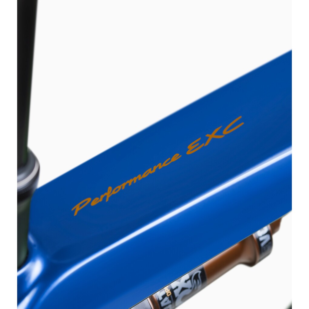 Porsche ebike Cross Performance EXC