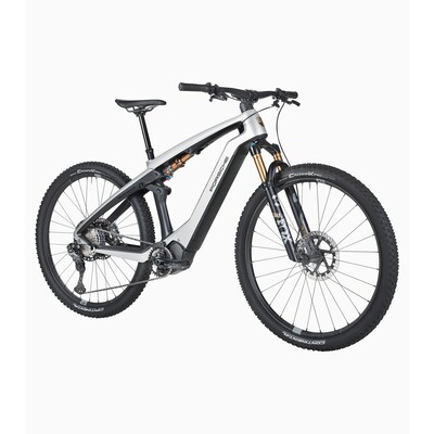 Porsche eBike Cross Performance EXC