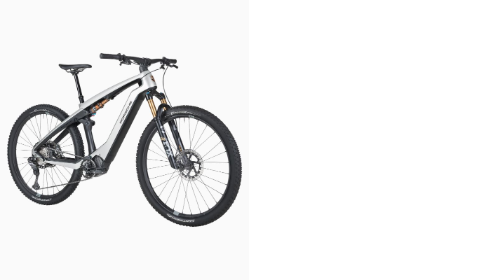Porsche eBike Cross Performance EXC