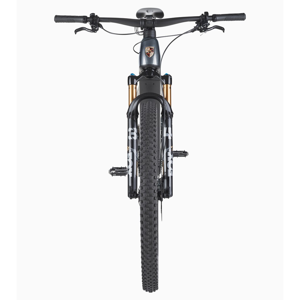 Porsche eBike Cross Performance EXC