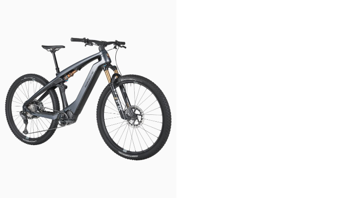 Porsche eBike Cross Performance EXC