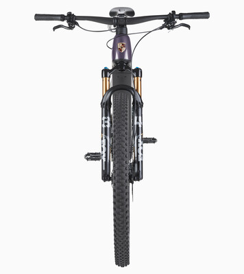 Porsche eBike Cross Performance EXC