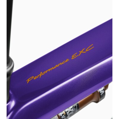 Porsche eBike Cross Performance EXC