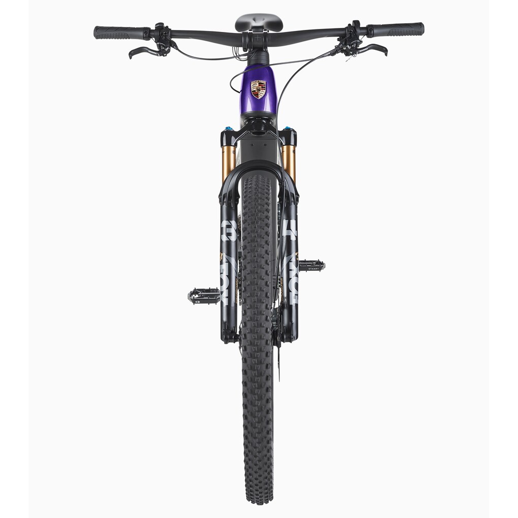 Porsche eBike Cross Performance EXC