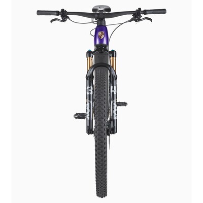 Porsche eBike Cross Performance EXC