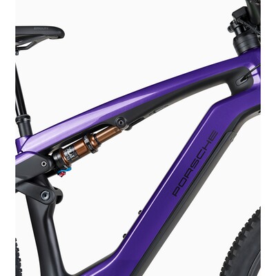 Porsche eBike Cross Performance EXC