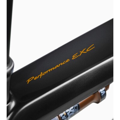 Porsche eBike Cross Performance EXC