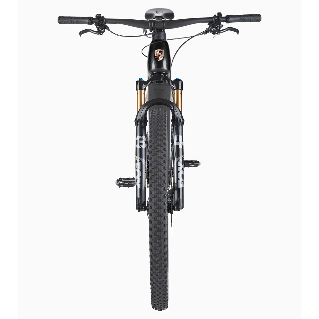 Porsche eBike Cross Performance EXC